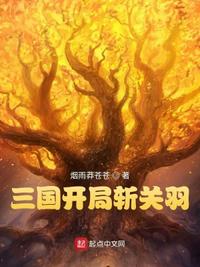 三国开局斩关羽华雄